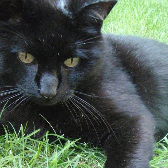 Meet your Posher, Judy - Picture 1 of 1